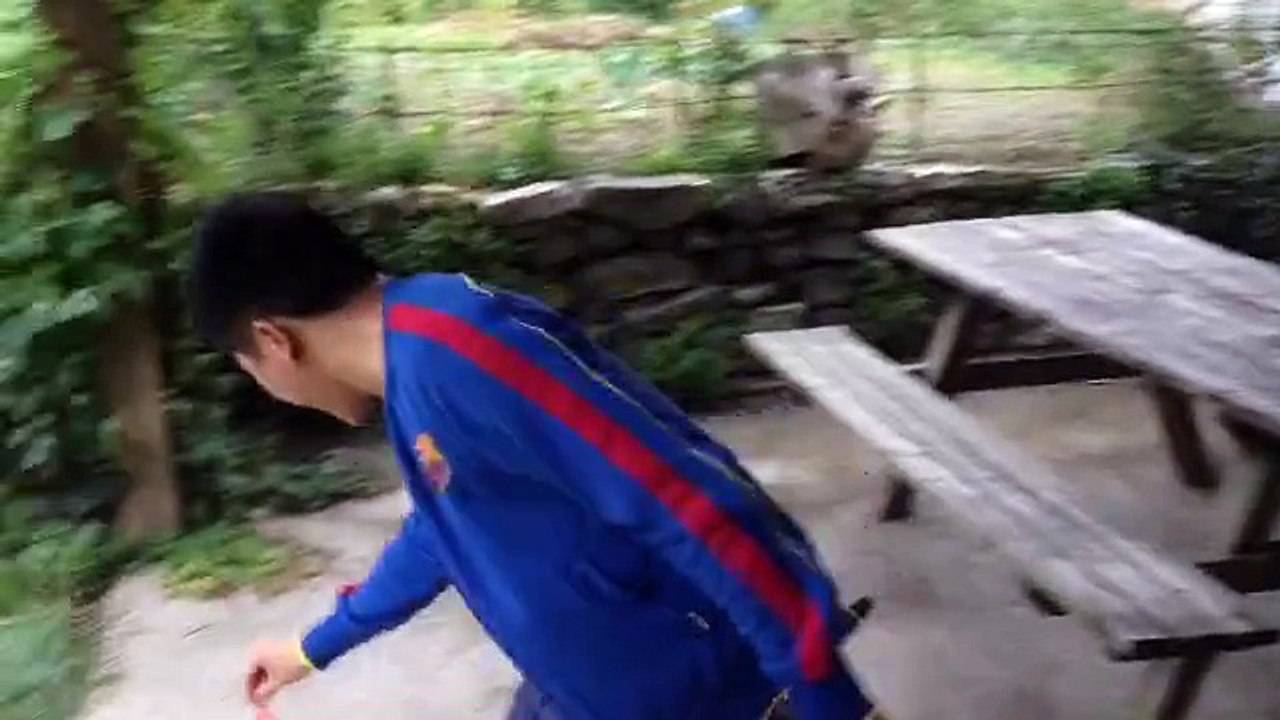 Yen Pol le dresseur de chat