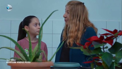 vadi-241215-277-hd-p2