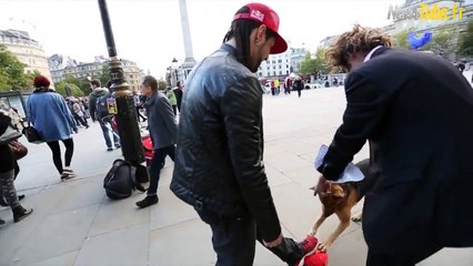MAN vs DOG - Sean Garnier vs Chien