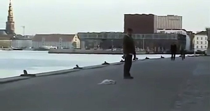 Приколы с собаками! Смешной и Очень ленивый пес!)))0