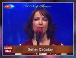 Seher ÇAĞATAY-Hastane Önünde İncir Ağacı