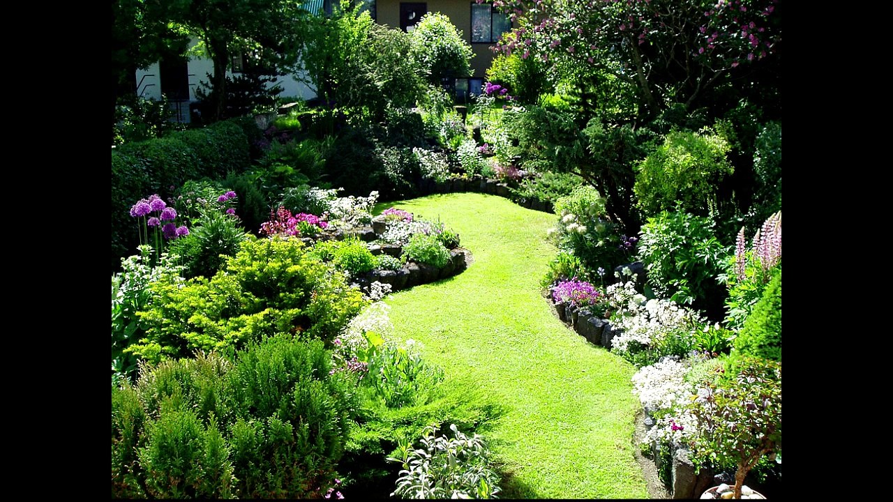 MMA Update; One FC bans weight-cutting by dehydration; Edgar says he'll stop McGregor in ,MMA Fighter Die