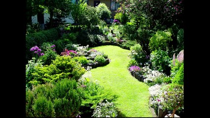 MMA Update; One FC bans weight-cutting by dehydration; Edgar says he'll stop McGregor in ,MMA Fighter Die