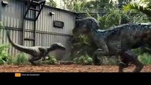 JURASSIC WORLD Movie Clip - Raptor Squad (2015) Chris Pratt Sci-Fi Movie HD
