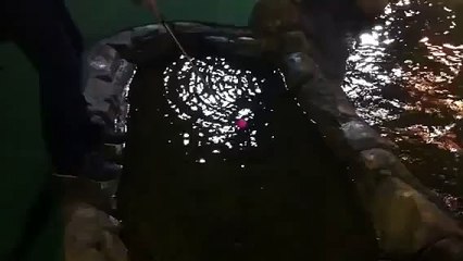 Greatest putt-putt shot of all time