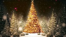 Snowflakes Falling Christmas Trees Motion Graphic Video Loop.
