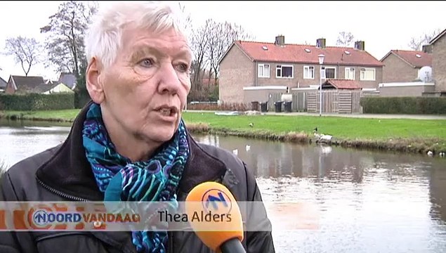 Hij beschermt gewoon zn gezin, je hebt er verder geen last van - RTV Noord