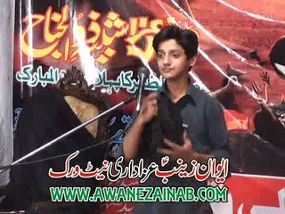 Zakir Ali Abbas Askari Majlis 20 November 2015 Green Town Lahore