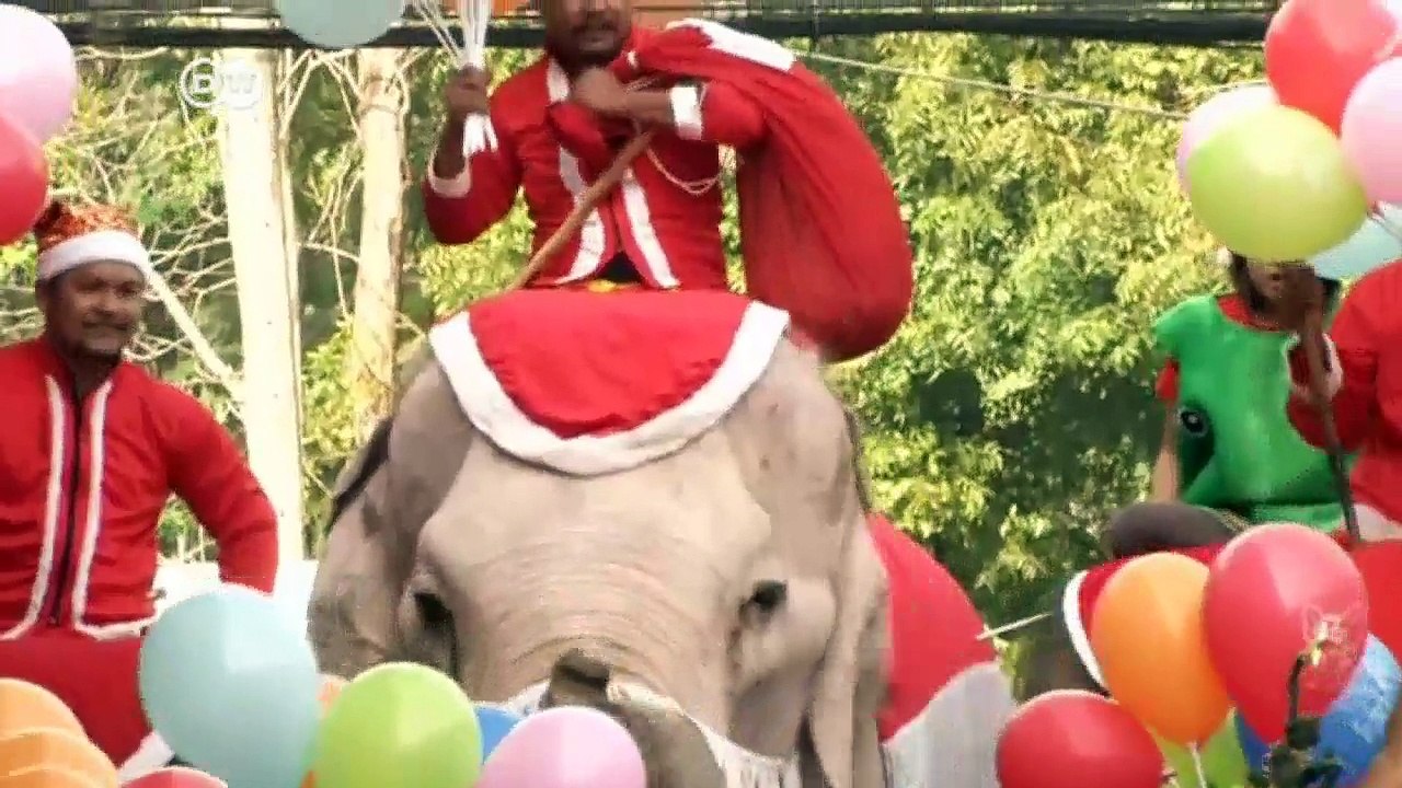 Weihnachtsmänner aus aller Welt | Wirtschaft