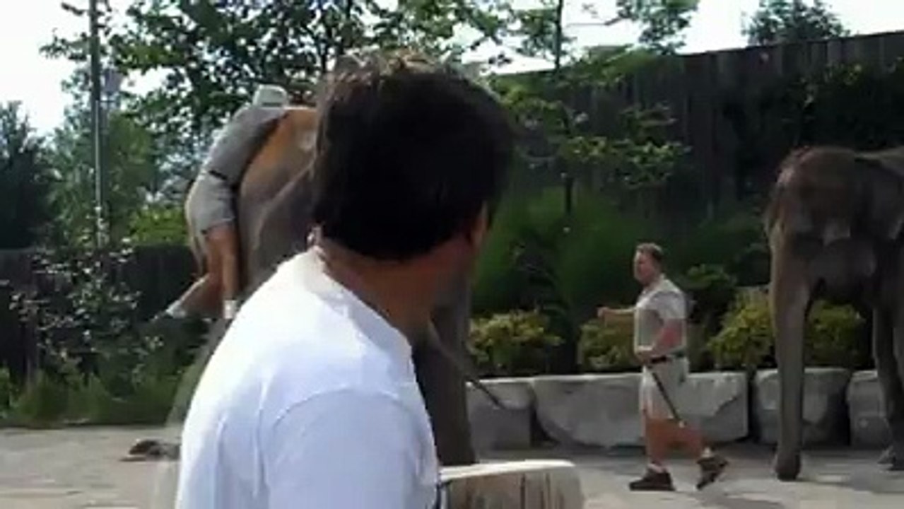 Ride On A Elephant