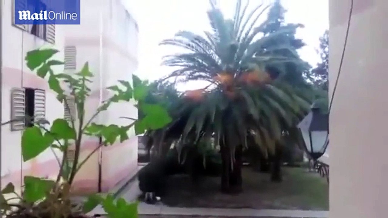 What IS this creepy noise coming from a Mexican underground?