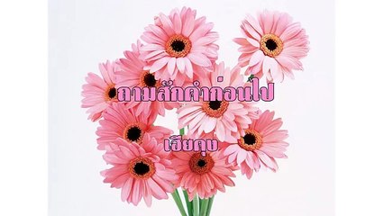ถามสักคำก่อนไป ขับร้องโดย เฮียคุง