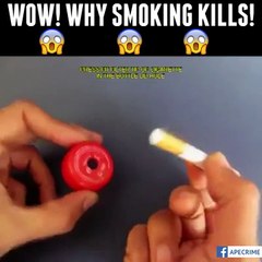 Why Smoke Kills
