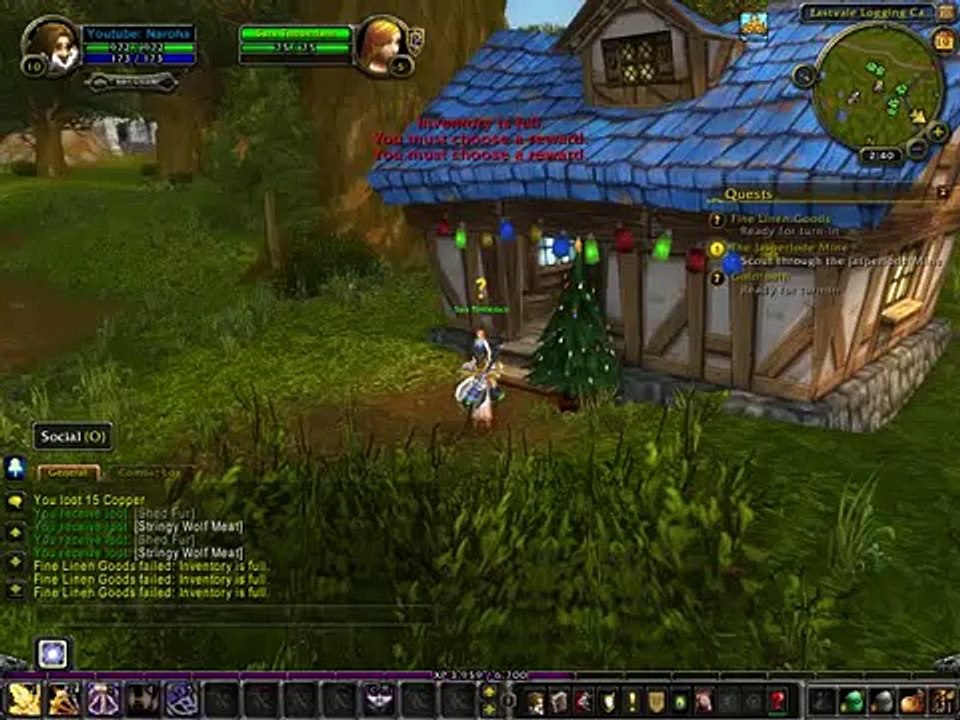 WoW Gameplay #046