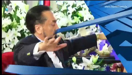 5n1k Kim Bu Kedicikler?