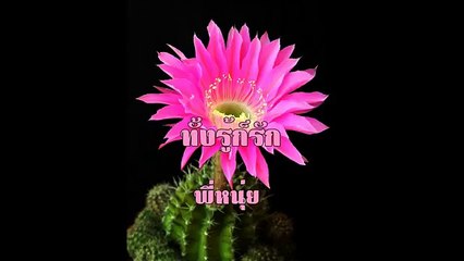 ทั้งรู้ก็รัก ขับร้องโดย พี่หนุ่ย