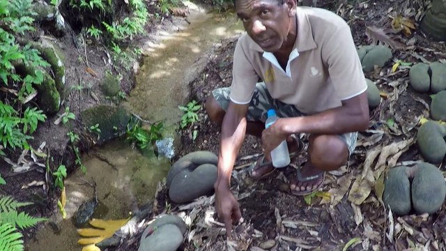 Océan Indien : Seychelles