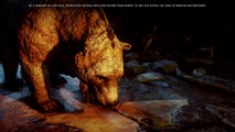 Dragon Age Bear Puns