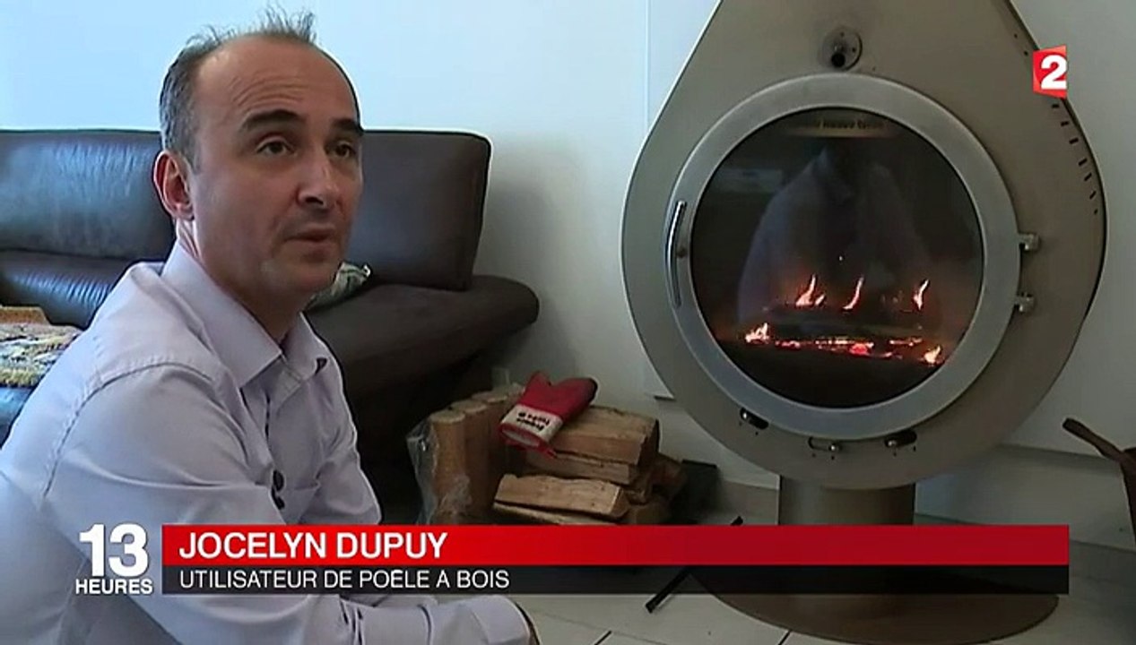 Chauffage au bois : 300 000 poêles vendus l'année dernière