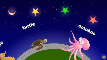learn sea animals with names Full animated cartoon english 2015