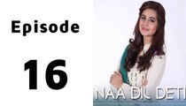 Naa Dil Deti Episode 16 Full on Hum Sitaray in High Quality