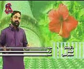 sindhi naat h m aslam bugio