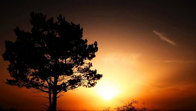 Allah apne bando ko akela kabhi nahi chodte by peer zulfiqar ahmad naqshbandi (480p)