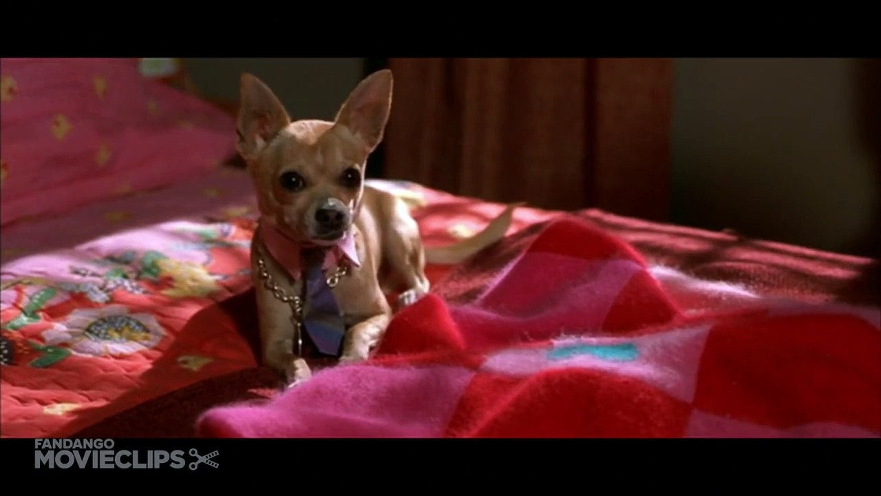 Legally Blonde (4/11) Movie CLIP - First Day of School (2001) HD