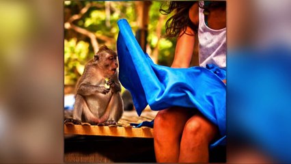 50 Photos Taken At The Right Moment