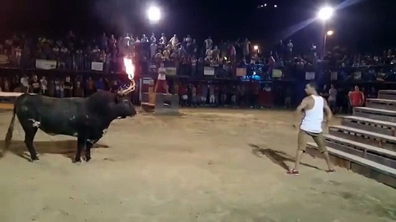 Бык обдумал удар и нанес его . Жесть!