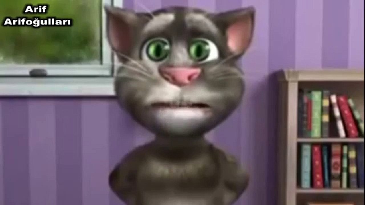 Erzurumlu Dadaş Kedi Tom Karıya Laf Geçiremeyenler