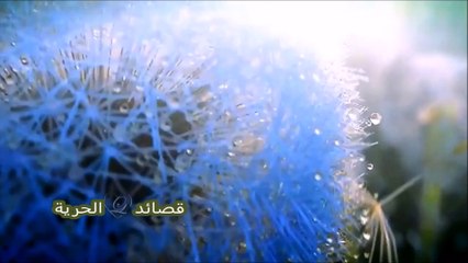 جان برو - ذوبي