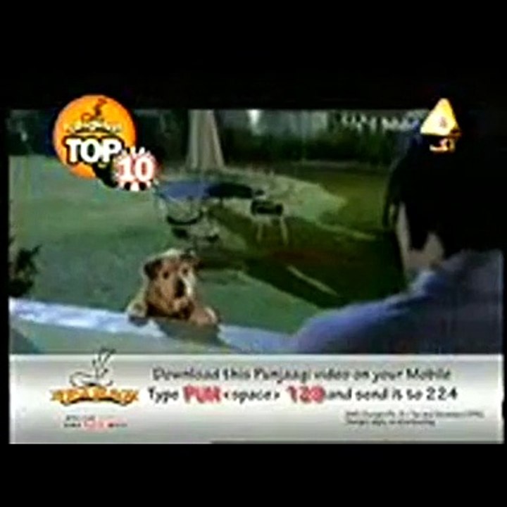 Funny videos