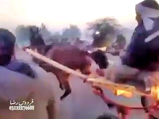 lal pari horse race lahore