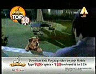 Kuty Or Iss K Malik Ki Batein Ap B Suniye Maza Aye Ga