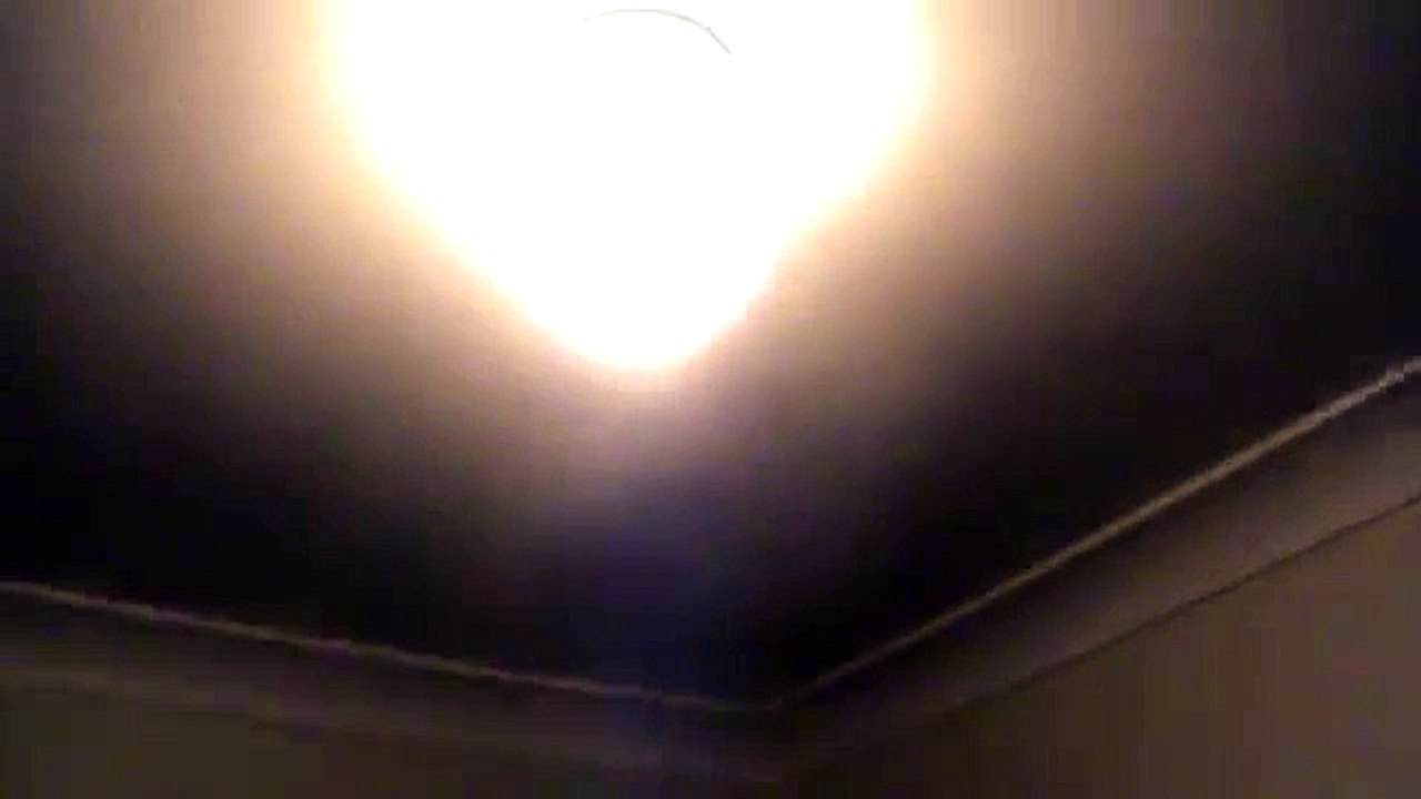 Freddy - Turn the Lights Off