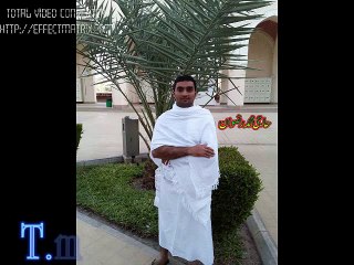 Tm Habib Abadi: Renowned Figure in Industry