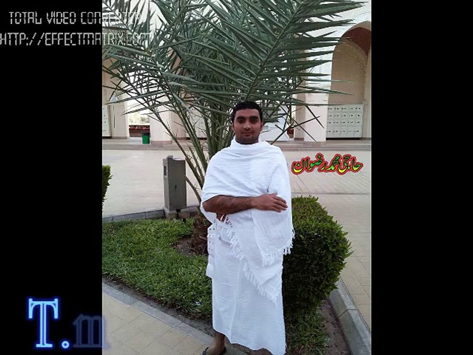 tm habib abadi