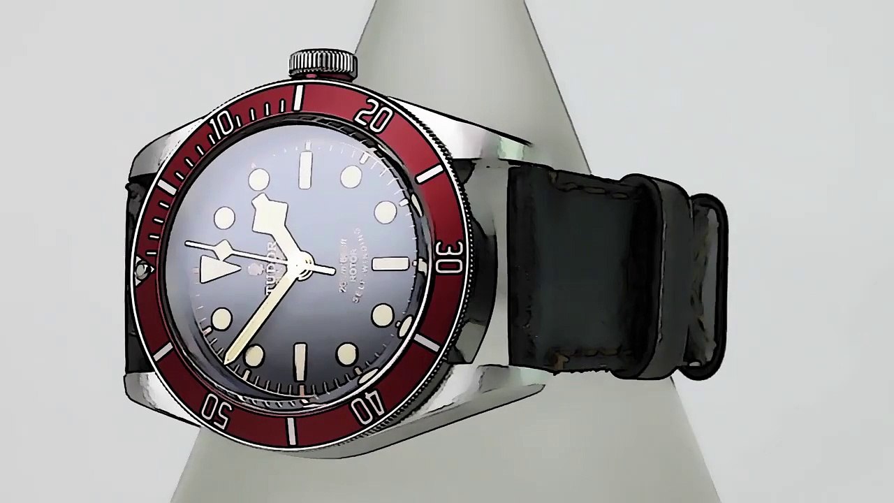 Tudor Heritage Stainless Steel