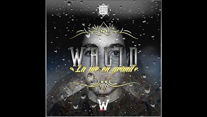 Walid - Tsunami (La Vie En Grand)