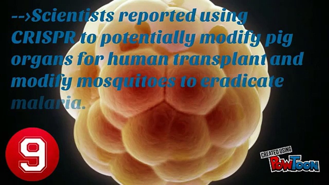 Top 10 Scientific Discoveries