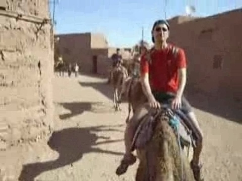 Maroc 2007 dromadaire