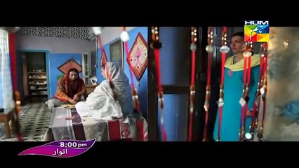 Digest Writer OST Drama on HumTV - Full Song -> Must Watch