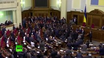 Balls & Brawls: Big fight in Ukraine parliament after opposition MP goes for PM Yatsenyuk’s crotch