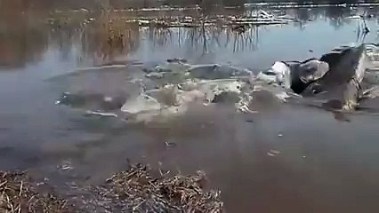 Korkutucu Dev Girdap Ne Var Ne Yok Yuttu