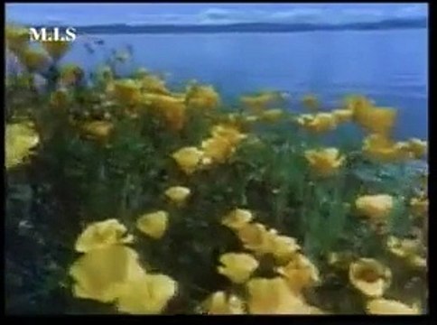 HAMD IN URDU VERY BEAUTYFUL URDU NASHEED HAMAD SWEET