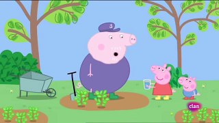 Peppa Pig en Español episodio 4x29 Perfume