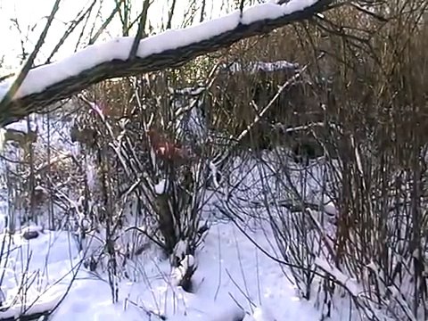 Зимние весёлые забавы!