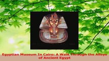 Read  Egyptian Museum In Cairo A Walk Through the Alleys of Ancient Egypt EBooks Online
