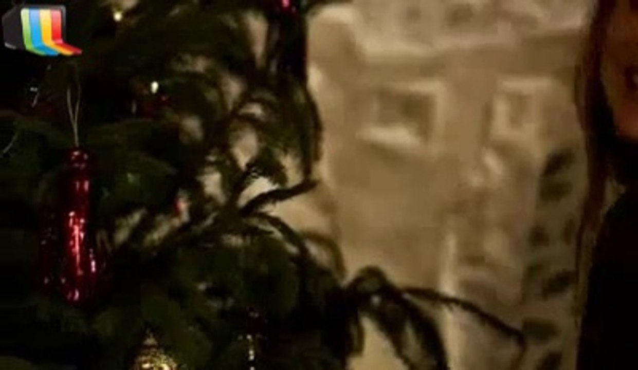 Je ne m'en lasse pas ;-)